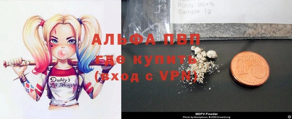 ГАЛЛЮЦИНОГЕННЫЕ ГРИБЫ Бородино