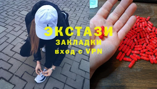 ГАЛЛЮЦИНОГЕННЫЕ ГРИБЫ Бородино