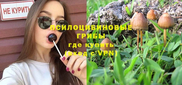 твердый Богородск