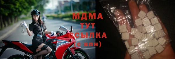 ГАЛЛЮЦИНОГЕННЫЕ ГРИБЫ Бородино