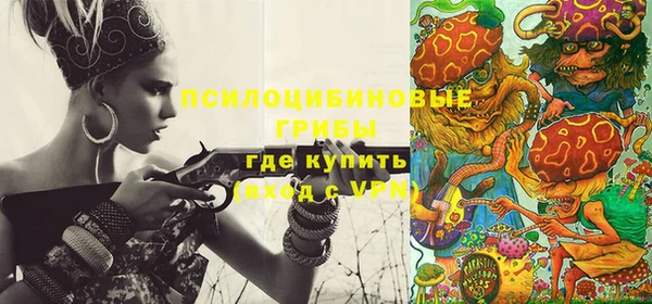 ГАЛЛЮЦИНОГЕННЫЕ ГРИБЫ Бородино