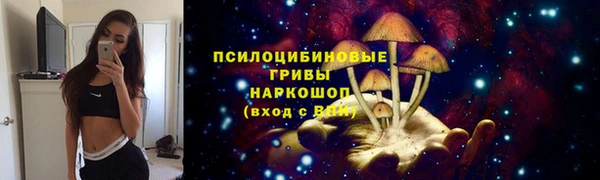 мдма Богданович
