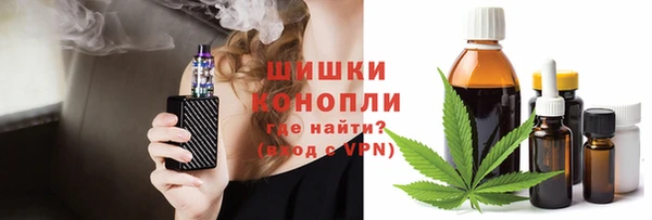 ГАЛЛЮЦИНОГЕННЫЕ ГРИБЫ Бородино
