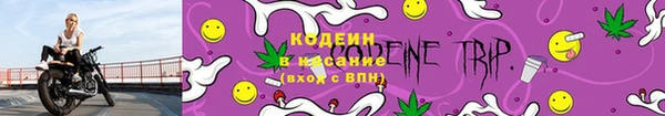 ГАЛЛЮЦИНОГЕННЫЕ ГРИБЫ Бородино