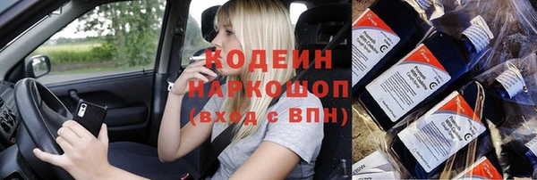 ГАЛЛЮЦИНОГЕННЫЕ ГРИБЫ Бородино