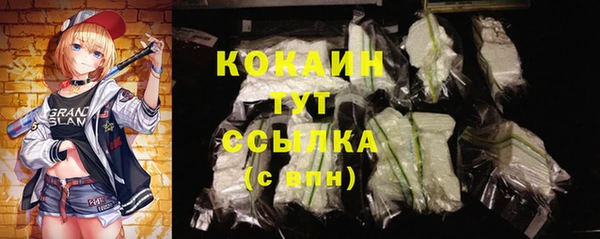 ГАЛЛЮЦИНОГЕННЫЕ ГРИБЫ Бородино